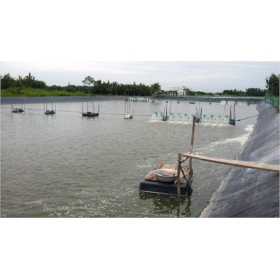 Một số giải pháp giúp nuôi tôm mùa lạnh tốt hơn