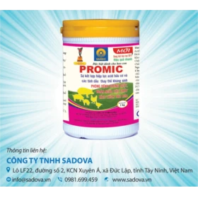 Hiệu quả của việc sử dụng Acid Formic kết hợp tinh dầu trong chăn nuôi heo