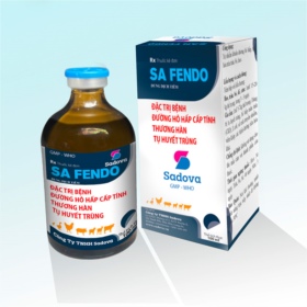 Sa Fendo (English)
