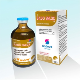 Sado Enlox La