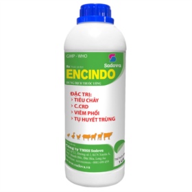 Encindo (English)